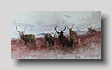 stags 1   watercolour  36 x 66cm